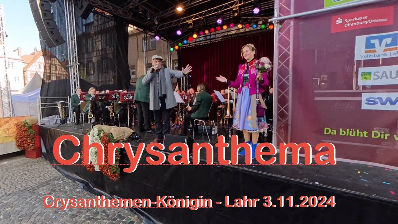 Chrysanthema - Ein Ständchen für die „Chrysanthemen-Königin“ -  Lahr 3.11.2024