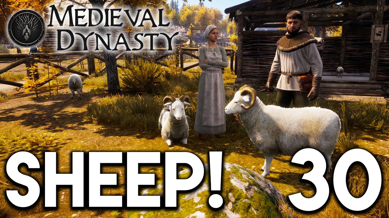 Medieval Dynasty Lets Play - Sheep! E30