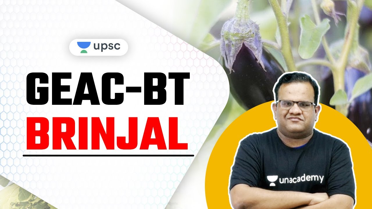 GEAC-BT Brinjal Explained by Ashirwad Sir