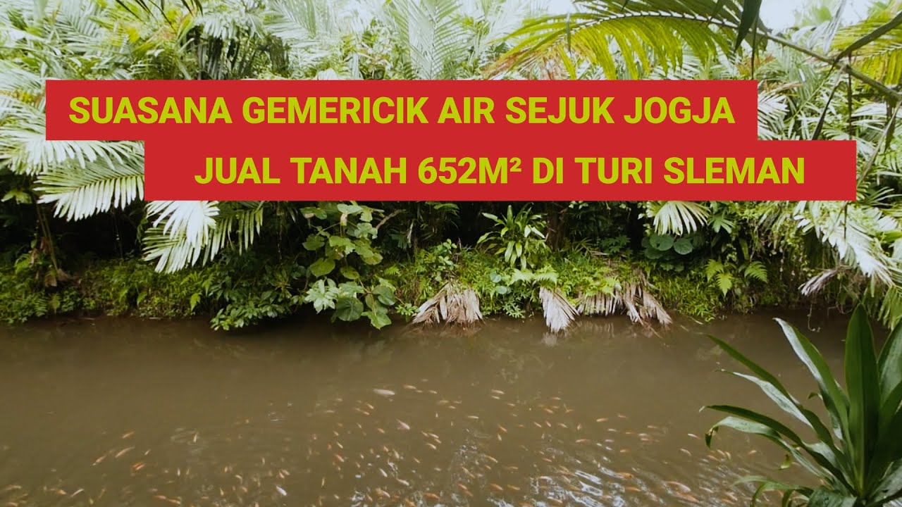 Suasana Gemericik Air Sejuk Jogja, Jual Tanah 652m² Di Turi Sleman (SOLD )