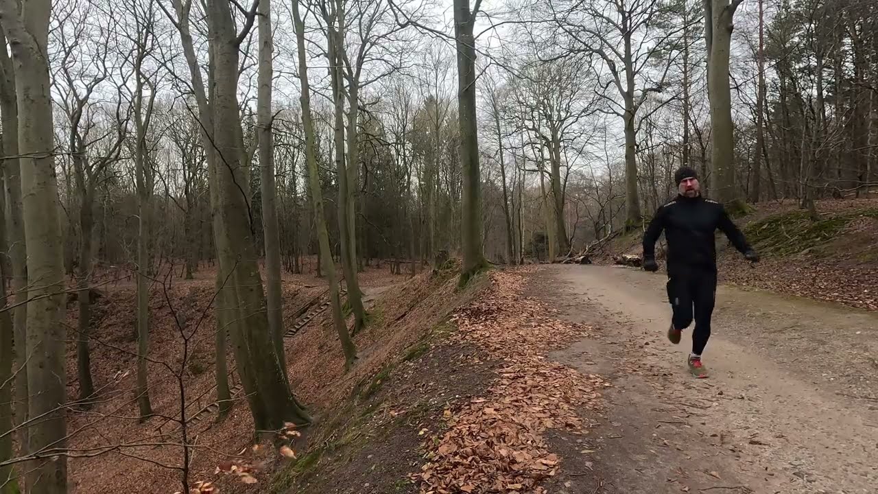 Halfdan Runs - 2026.01.21