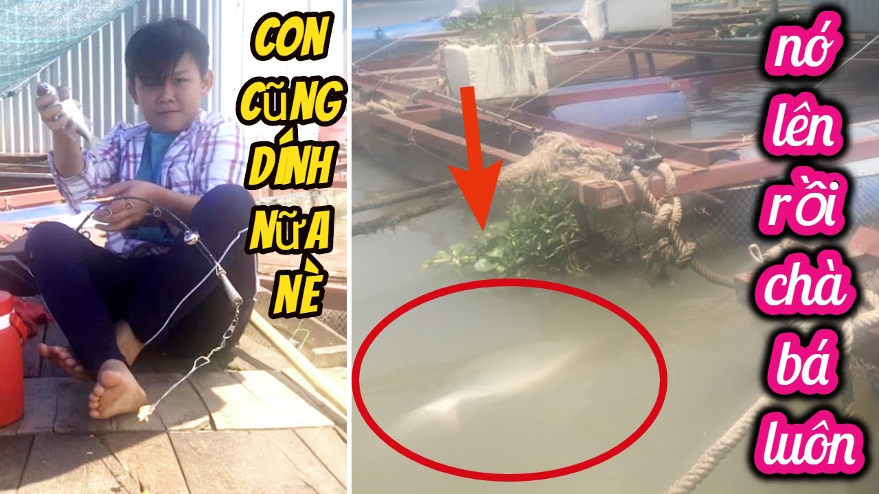 DẪN CON TRAI ĐI C&Acirc;U D&Iacute;NH ĐƯỢC HUGO M&Ecirc; T&Iacute;T LU&Ocirc;N