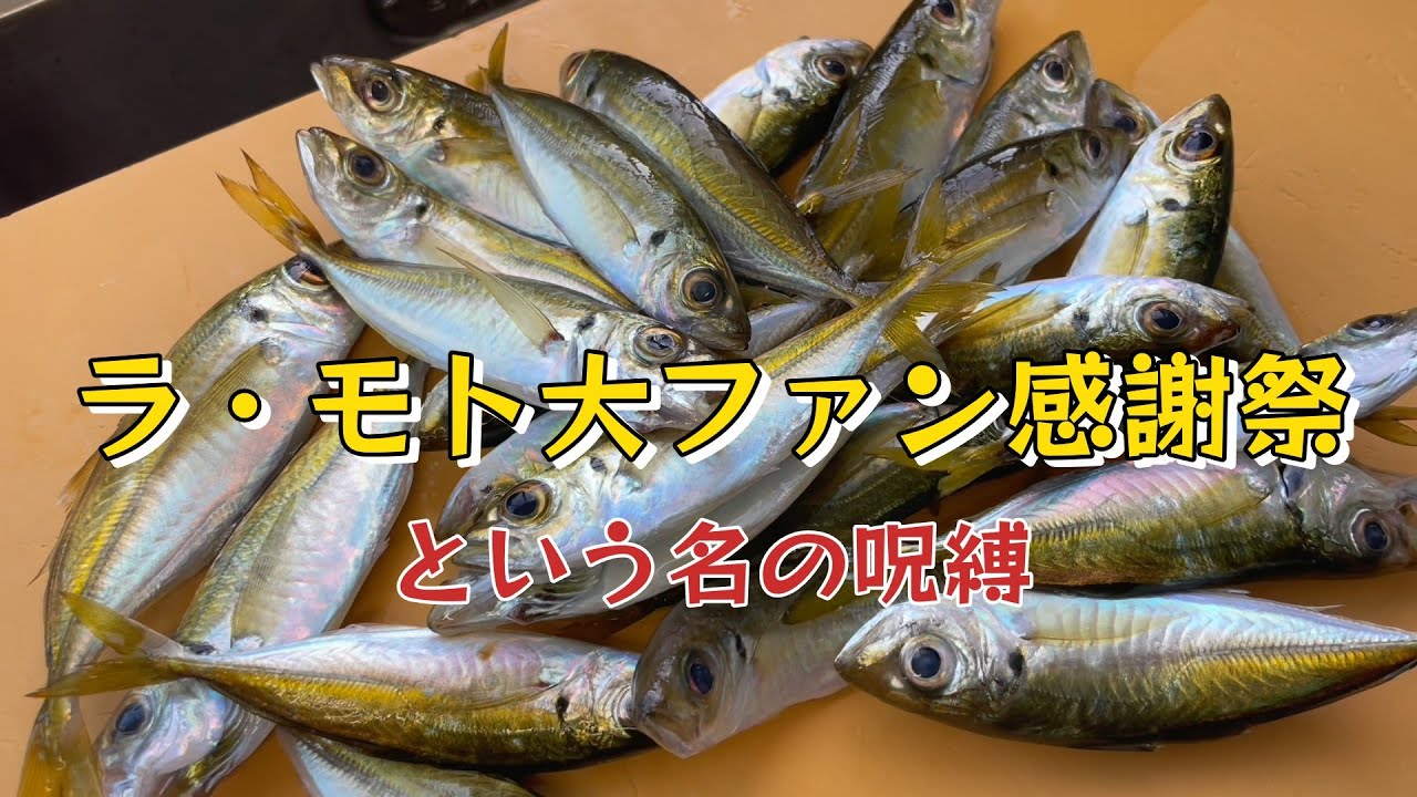 釣ったアジでカルピオーネの仕込みとラ・モト大ファン感謝祭のお知らせ