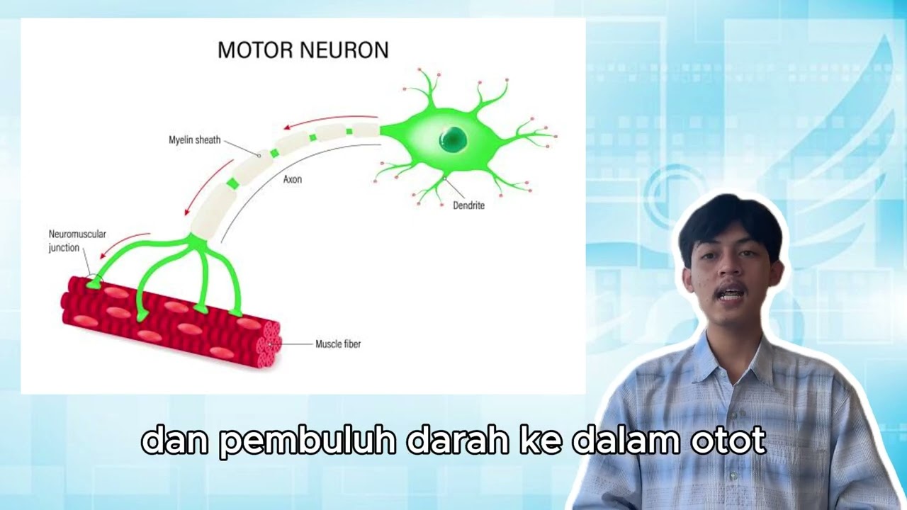 Tugas Video Fisiologi Muskuloskeletal, biolistrik, sel excitable