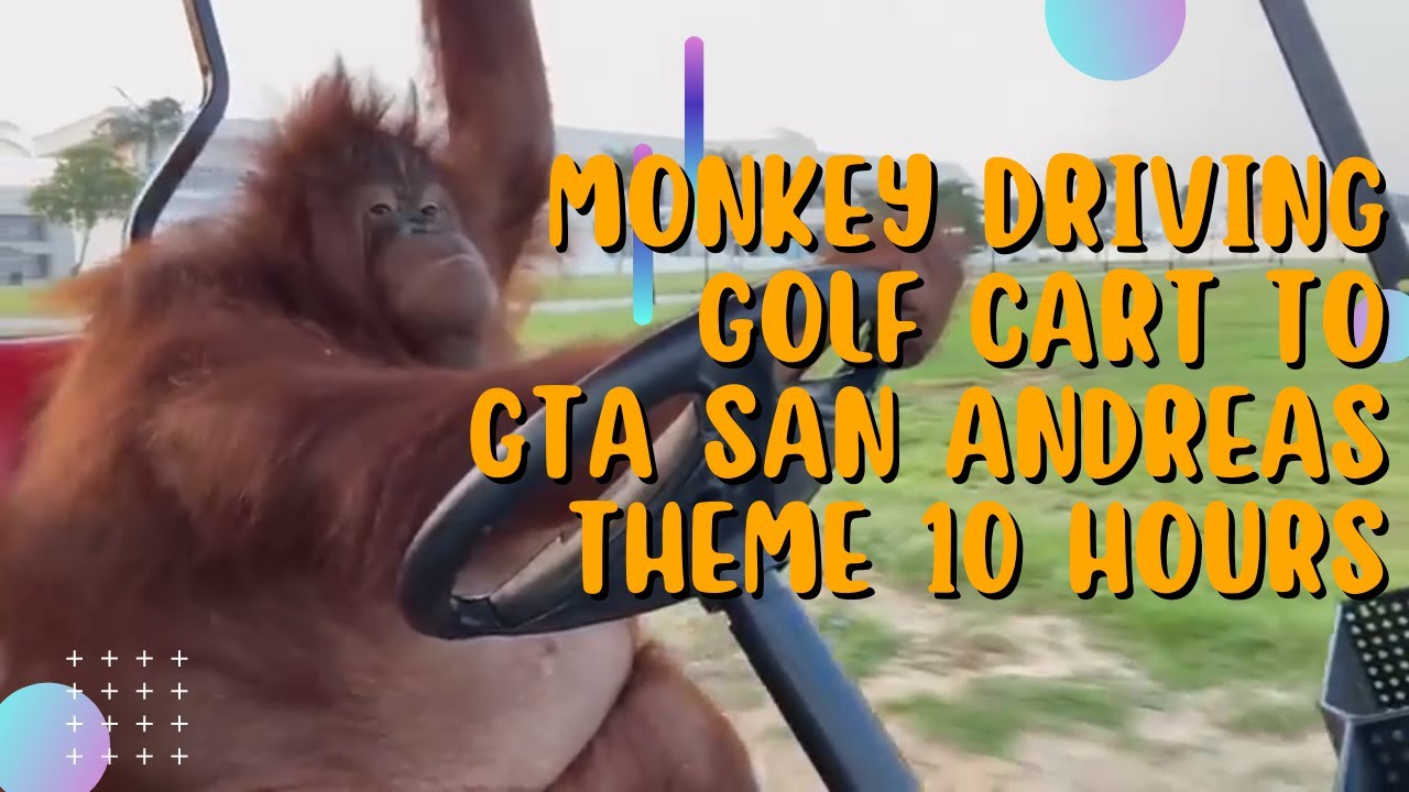 Monkey Driving Golf Cart to GTA San Andreas Theme 10 Hours