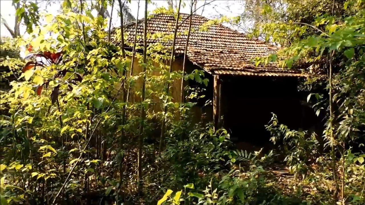 ASSOMBRAÇÃO SE MANIFESTANDO EM PLENA LUZ DO  DIA DENTRO DESTA CASA