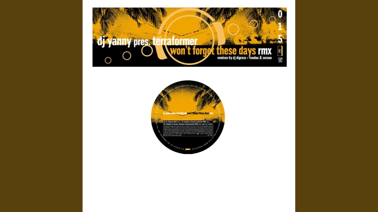 Won't Forget These Days (Voodoo & Serano Summer RMX)