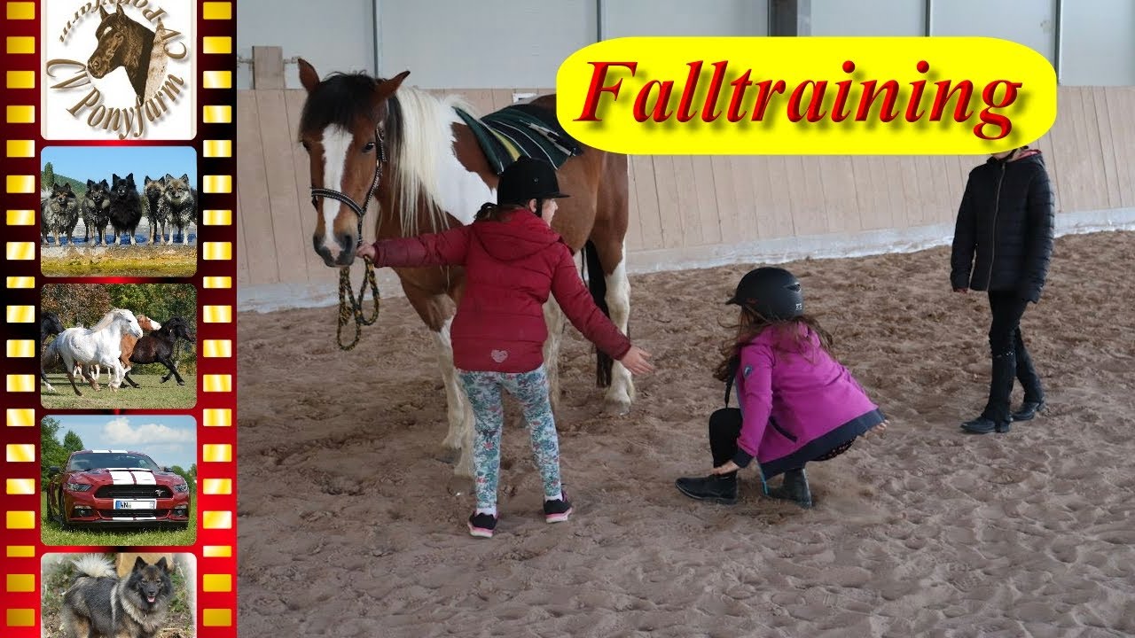 Falltraining / Fallkurs für Reiter - Richtig fallen kann man lernen - gerüstet für den Ernstfall