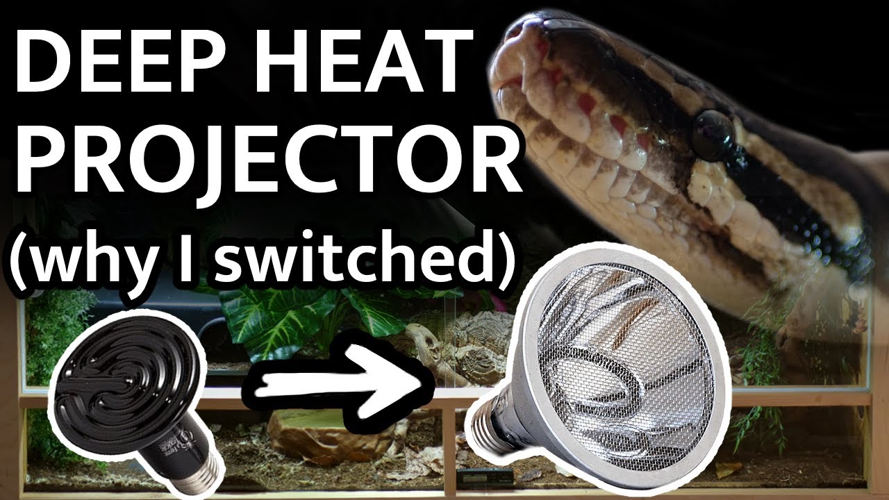 Deep Heat Projector Set Up - Why I replaced the Ceramic Heat Emitter in the Ball Python Enclosure
