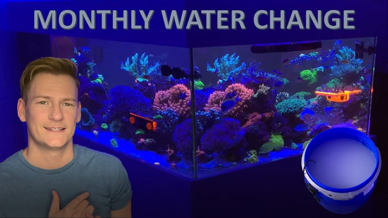 Monthly water change on My 1000 litre reef tank