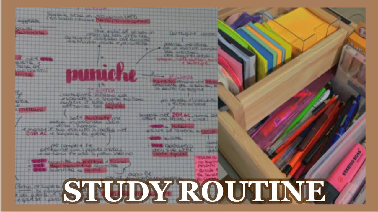 STUDY VLOG! materiali che uso, schemi.. (collab. StationeryPal)