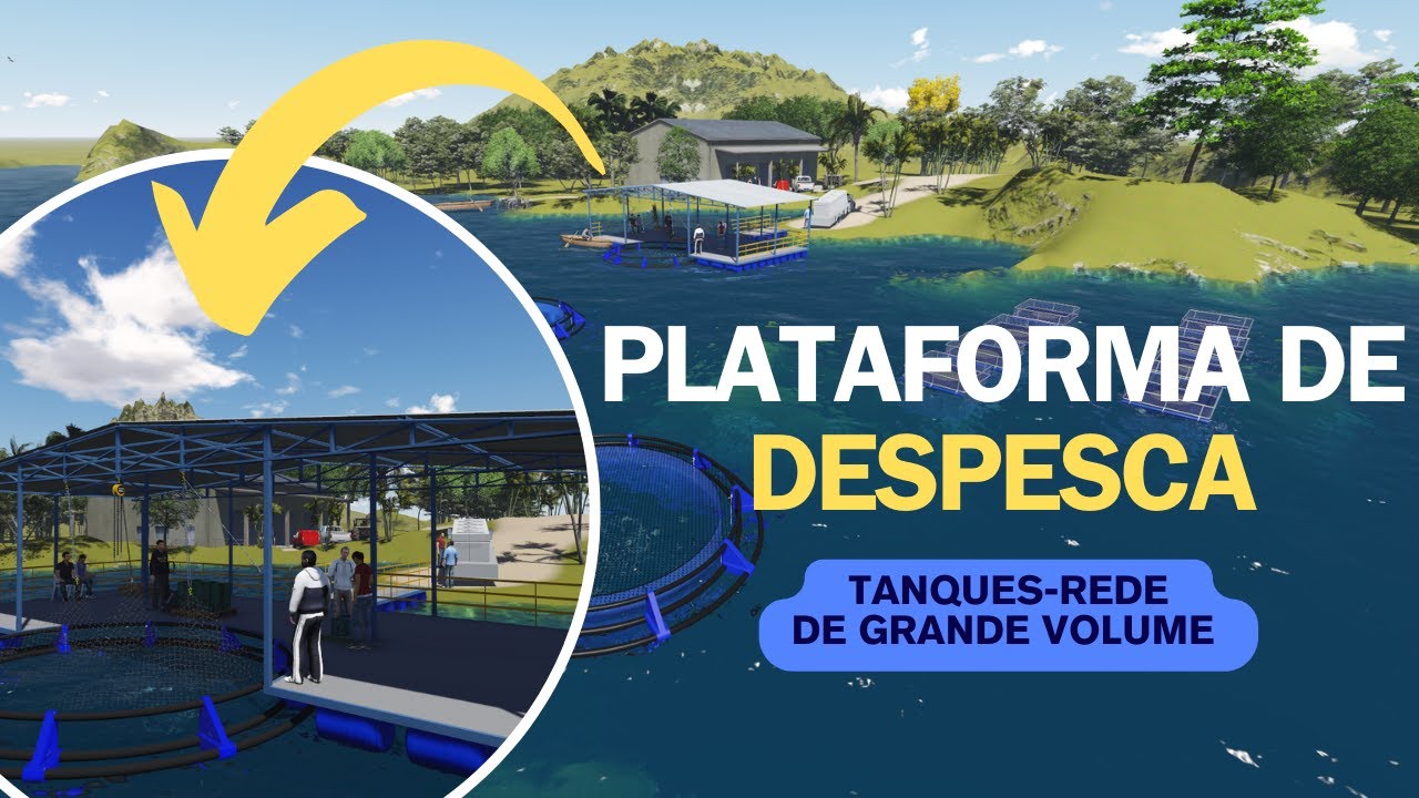 Despesca em  tanques-rede PEAD - BRASPEIXE