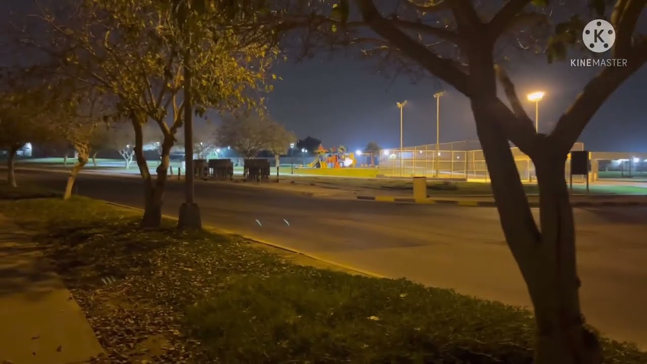 KFUPM residential park night