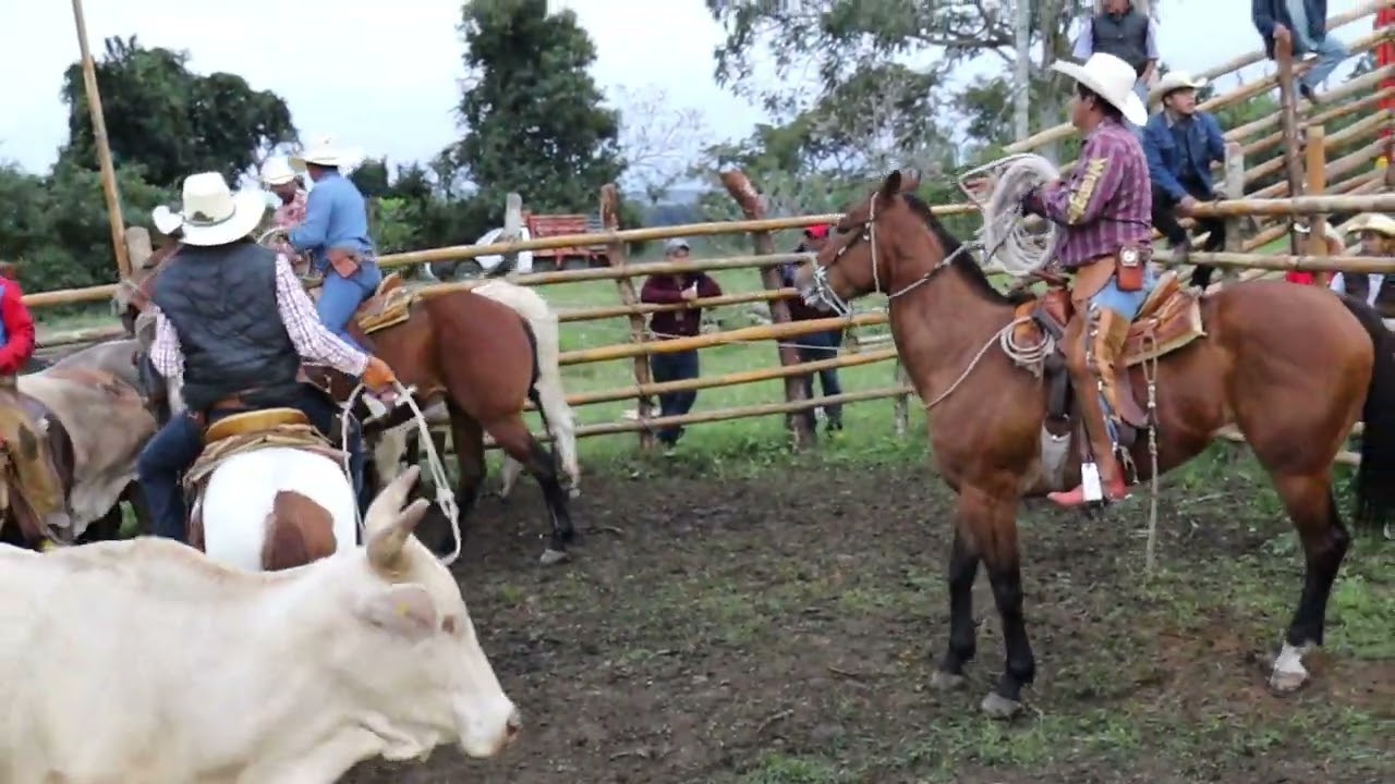 LO MEJOR DEL JARIPEO RANCHERO EN GOMEZ VILLANUEVA