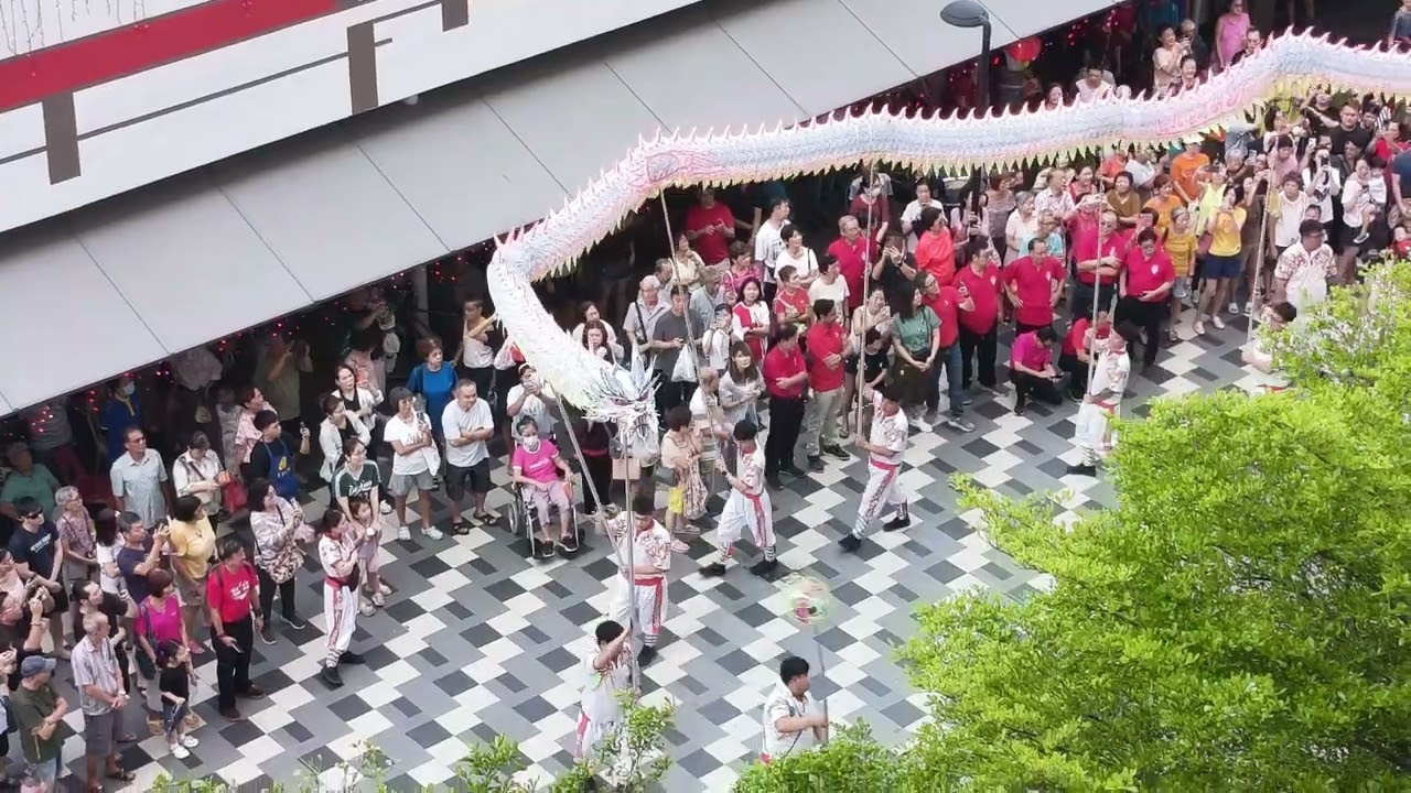 Giant Flag stunt and dragons dance...blk 58 Bedok 01Mar2026
