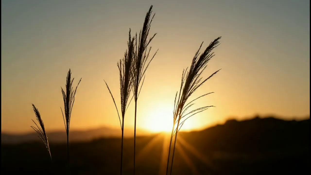 Instrumental sad |  relaxing deep sleep
