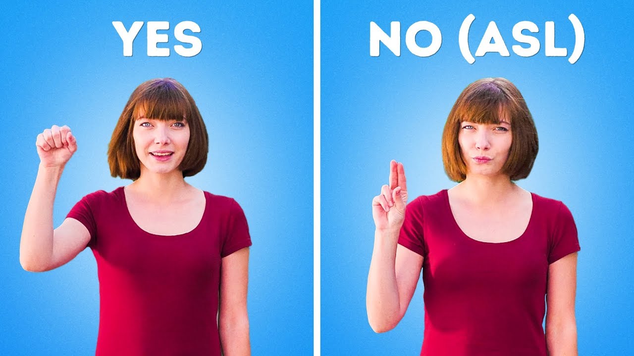 SIGN LANGUAGE FOR BEGINNERS