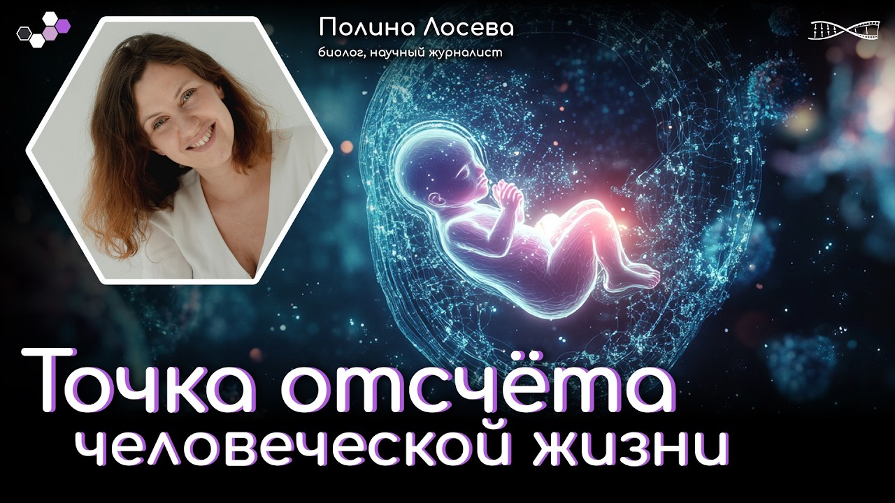 С чего начинается человек. Как и зачем учёные ищут точку отсчёта человеческой жизни