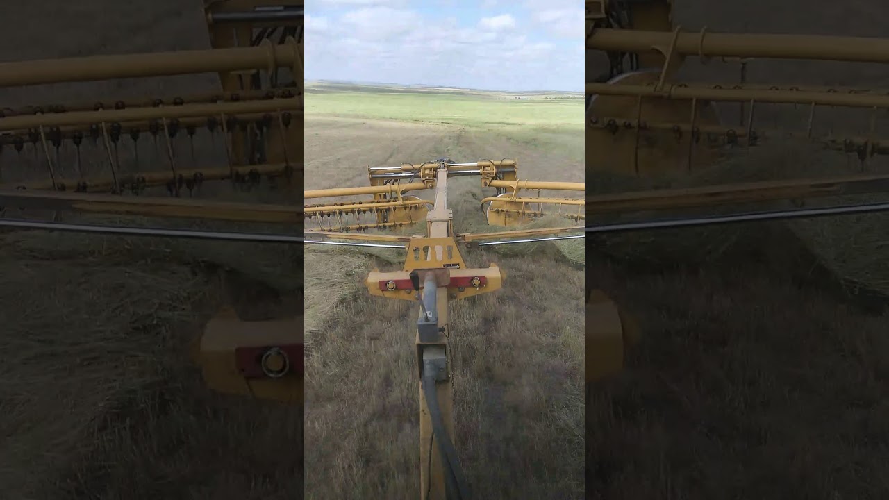 Rakeing