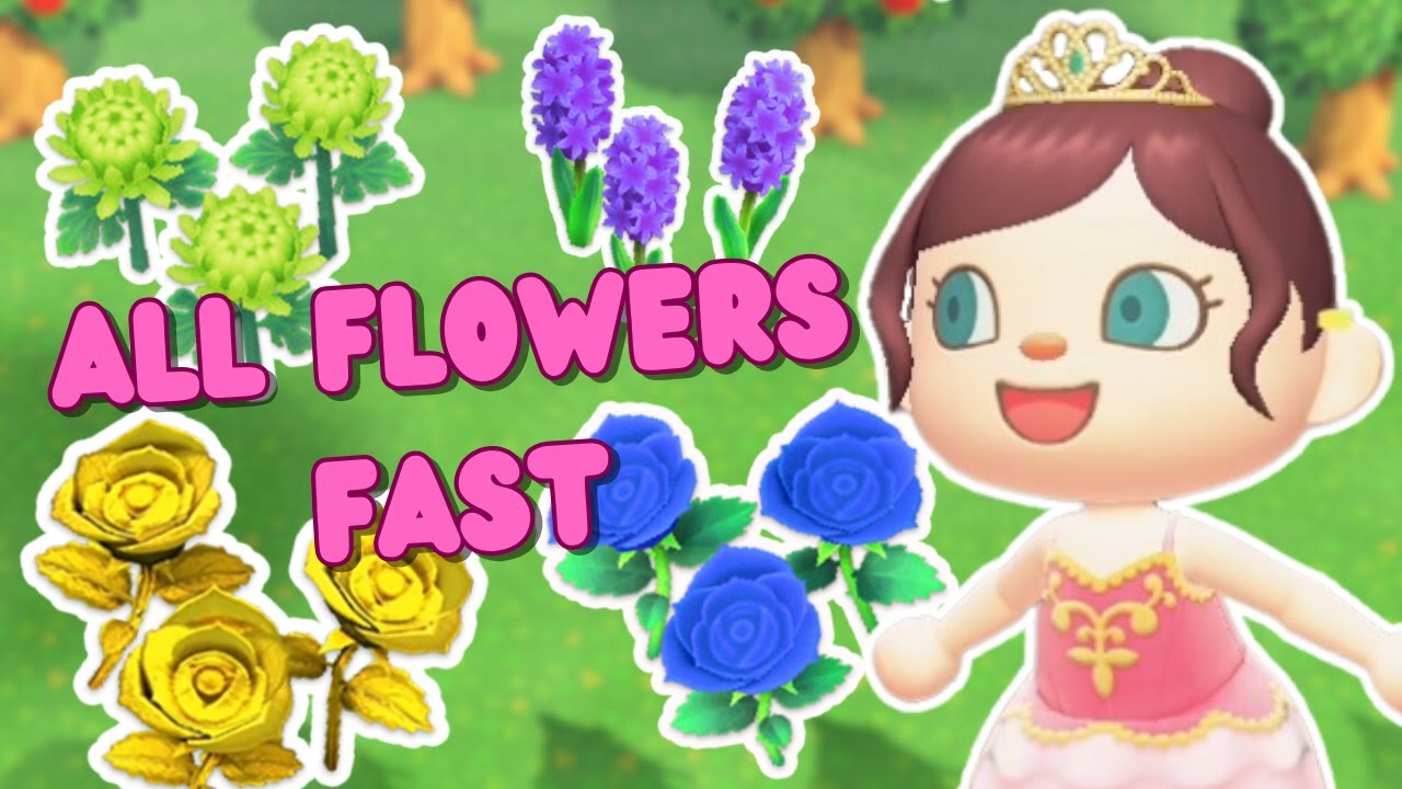 The ULTIMATE guide to flower breeding