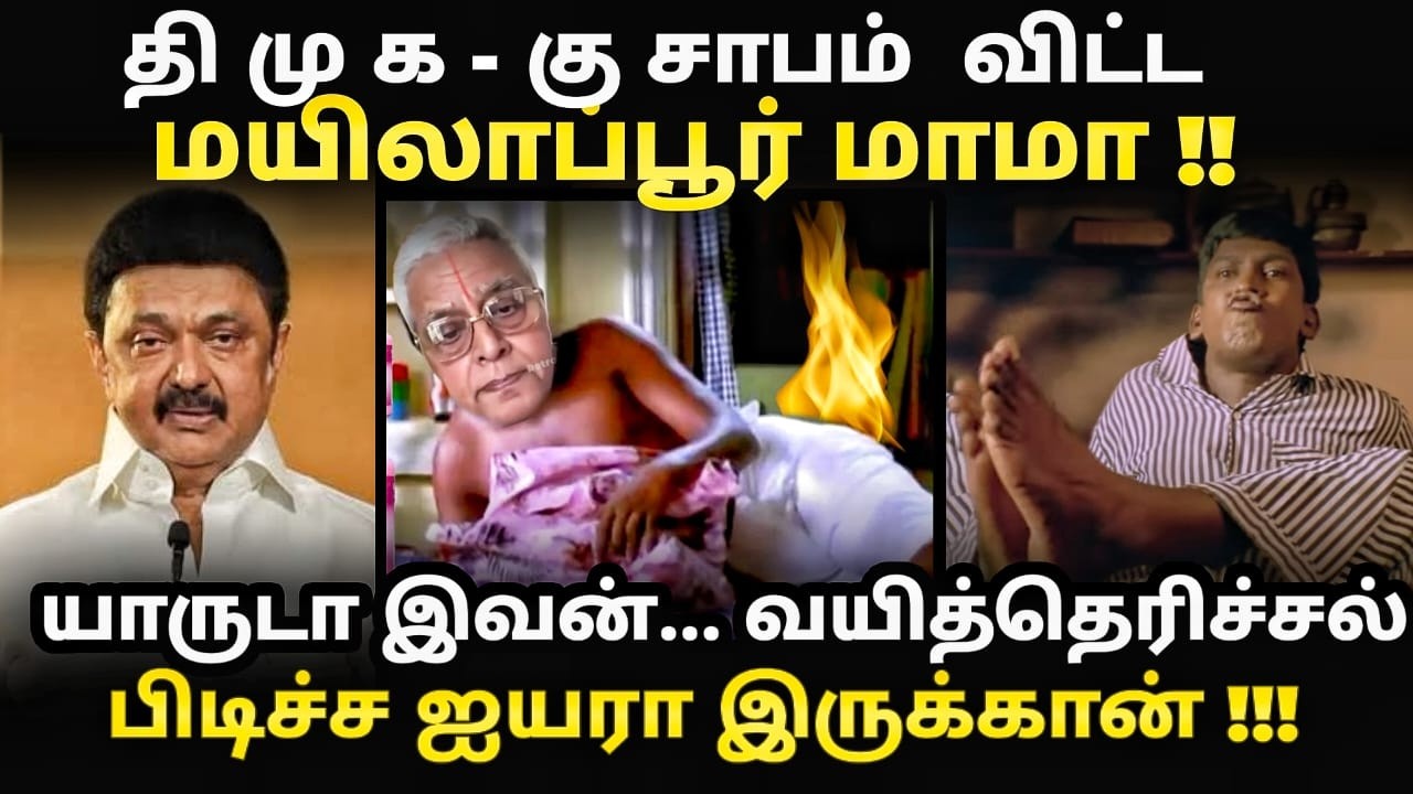 தி மு க கு சாபம் விட்ட மயிலாப்பூர் மாமா  #vijayvelloremeeting #kptroll #tvkvijayvellore #sangistroll