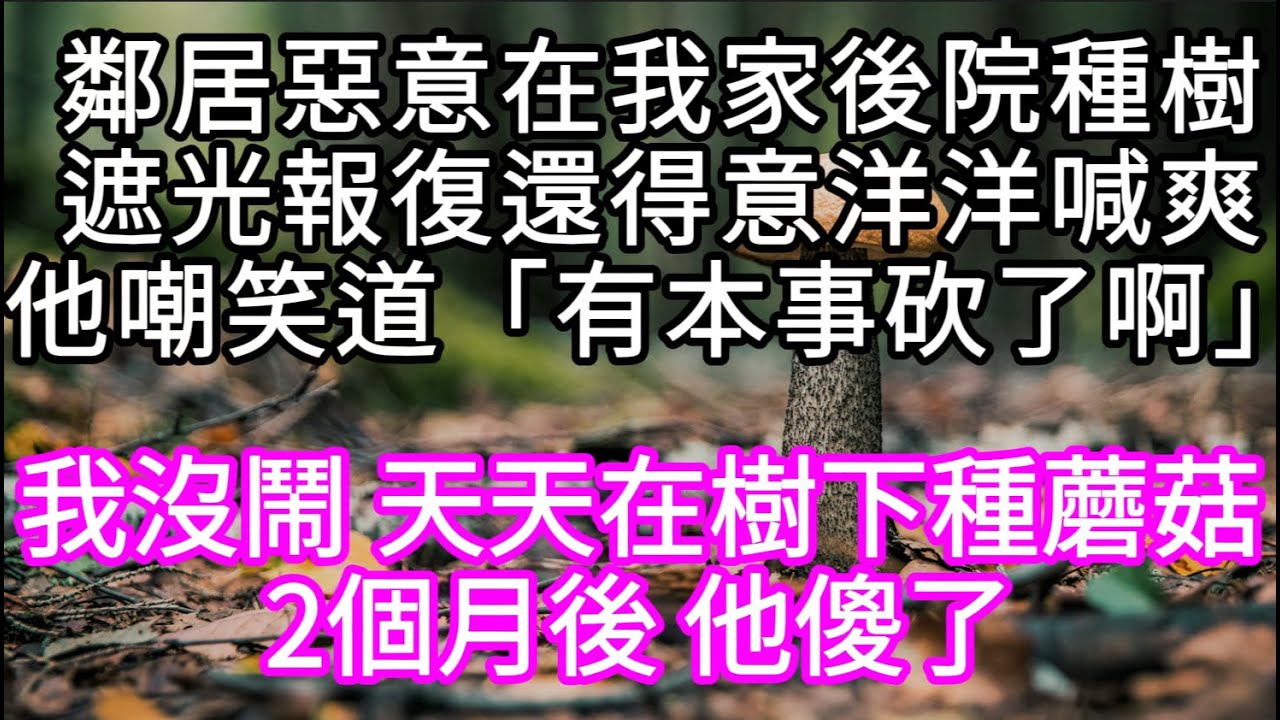鄰居惡意在我家後院種樹遮光報復還得意洋洋喊爽他嘲笑道「有本事砍了啊」 我沒鬧 天天在樹下種蘑菇2個月後 他傻了 #心書時光 #為人處事 #生活經驗 #情感故事 #唯美频道 #爽文