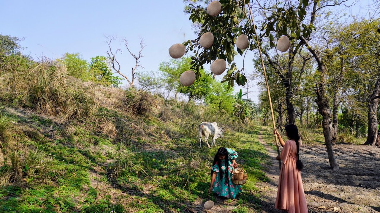 आपने खाया है जंगली पिस्ता बादाम  हमने पिस्ता से बनाई चिक्की और रबड़ी | Forest Pista Badam Rabari