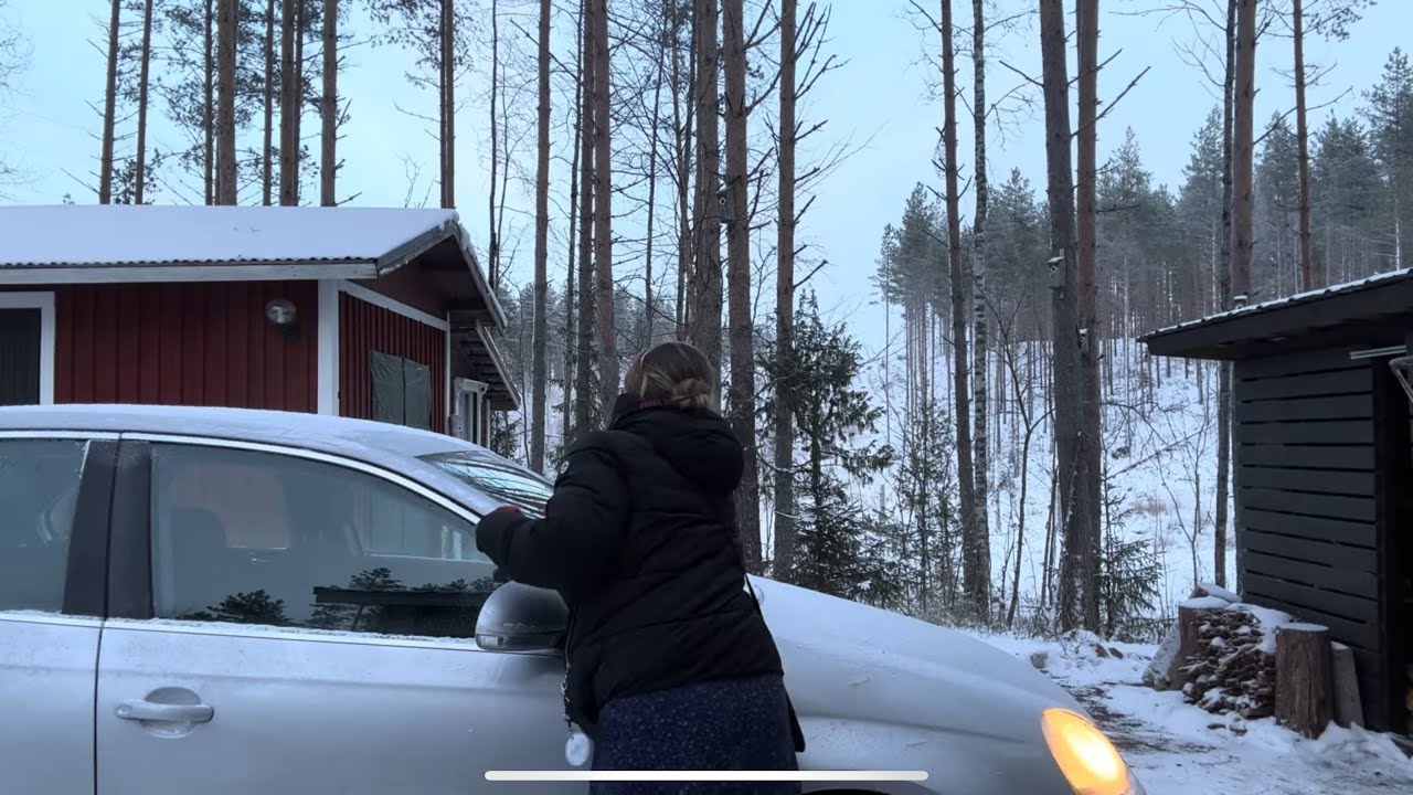 Vlogi - Hirviä, elämää koiran kanssa mökillä, vegaanisuudesta