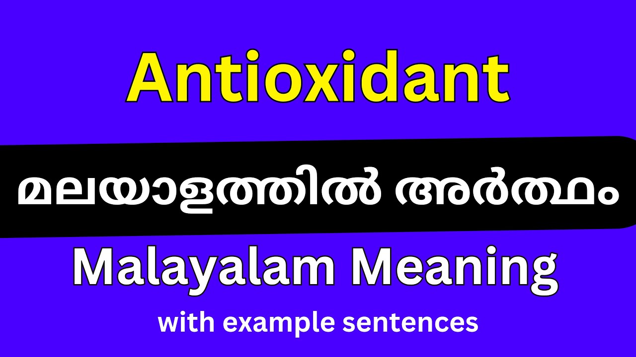 Antioxidant meaning in Malayalam/Antioxidant മലയാളത്തിൽ അർത്ഥം