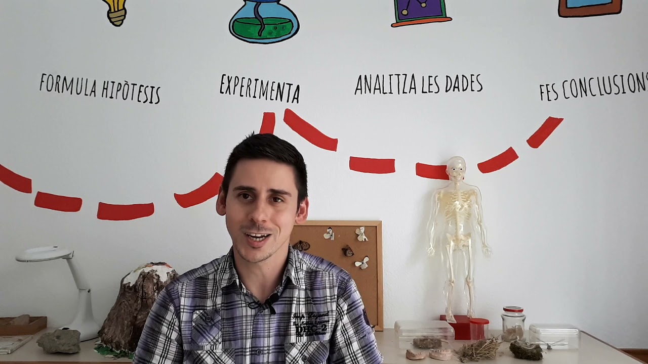 Famílies FEDAC Pont Major
