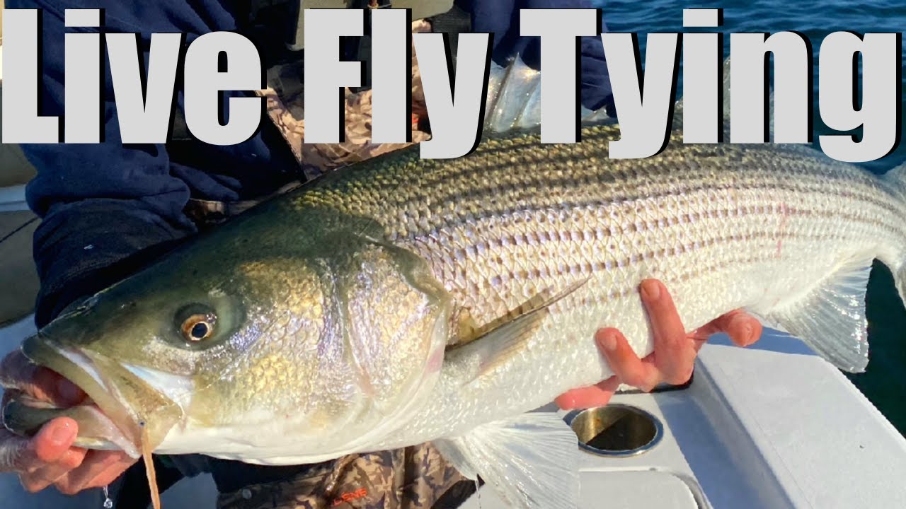 Live Fly Tying- Tying Saltwater Flies & Talking future Video Ideas