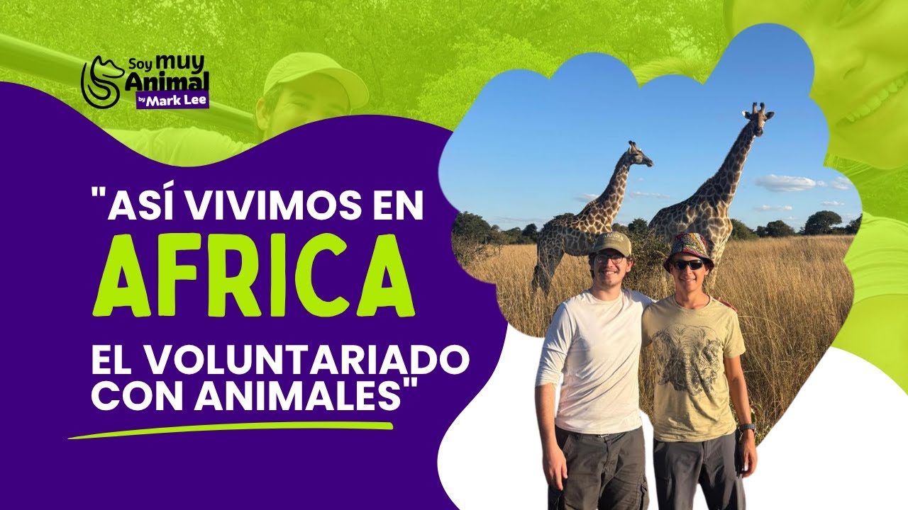 Dos amigos en África: 
