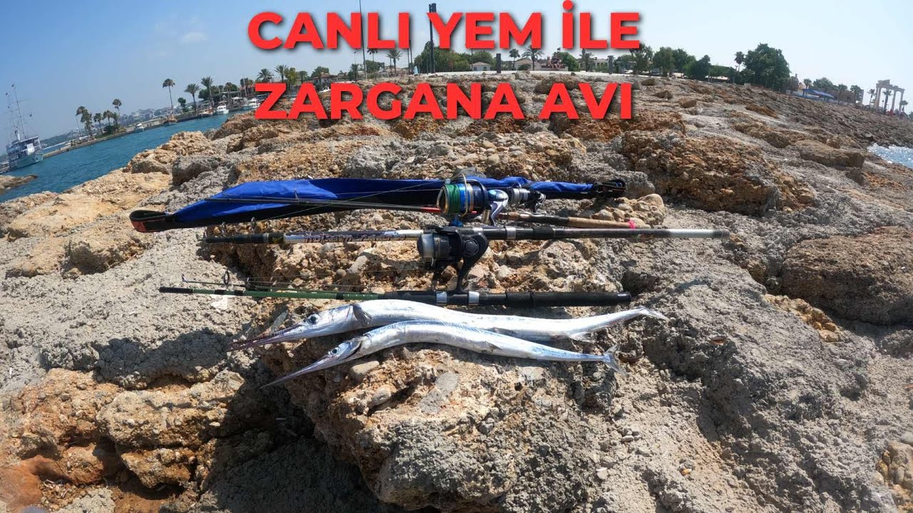 Canlı Yem İle Balık Avı