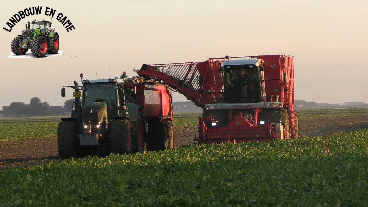 bieten rooien loonbedrijf boven Finsterwolde #oostgroningen  #farm  2025 #4k