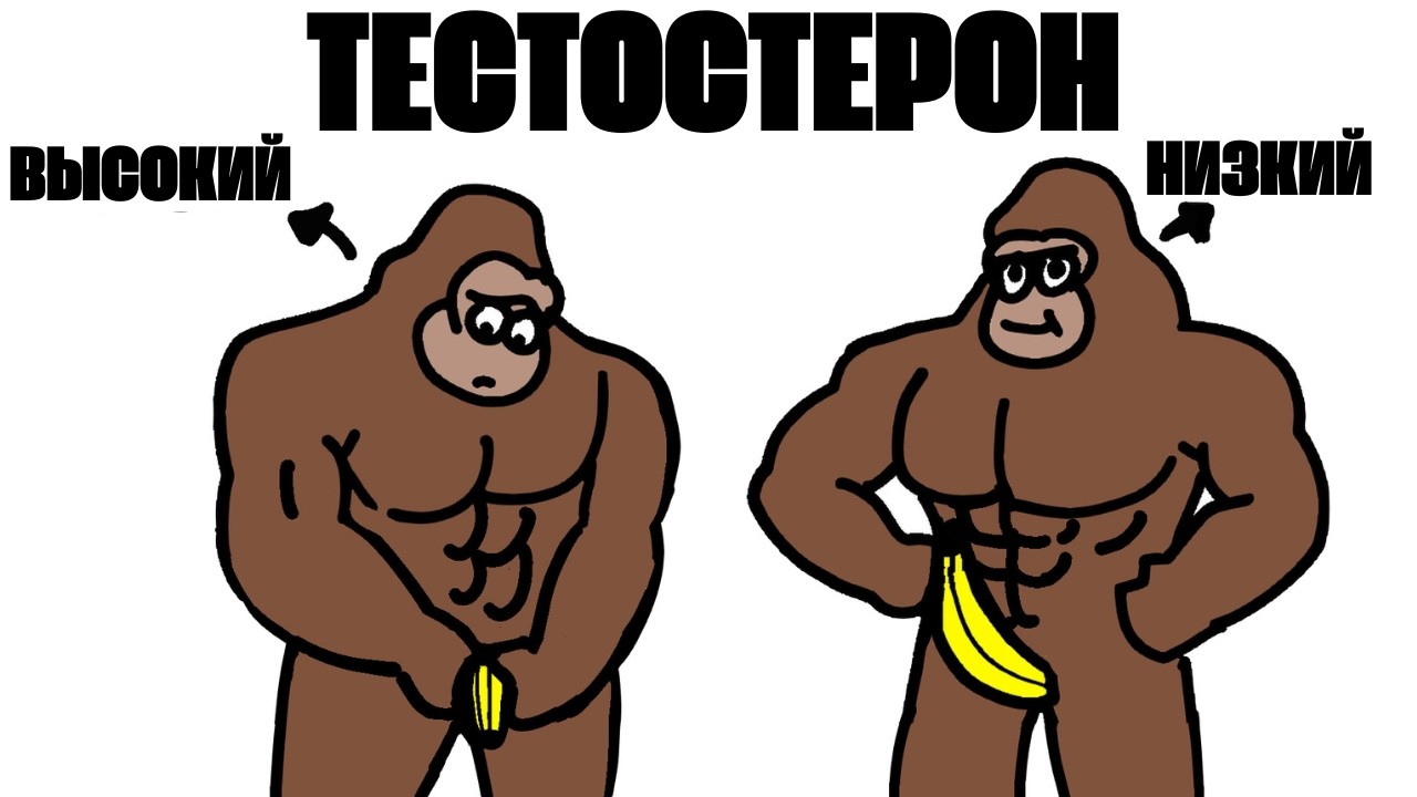 Как повысить тестостерон естественно — объясняет Симио