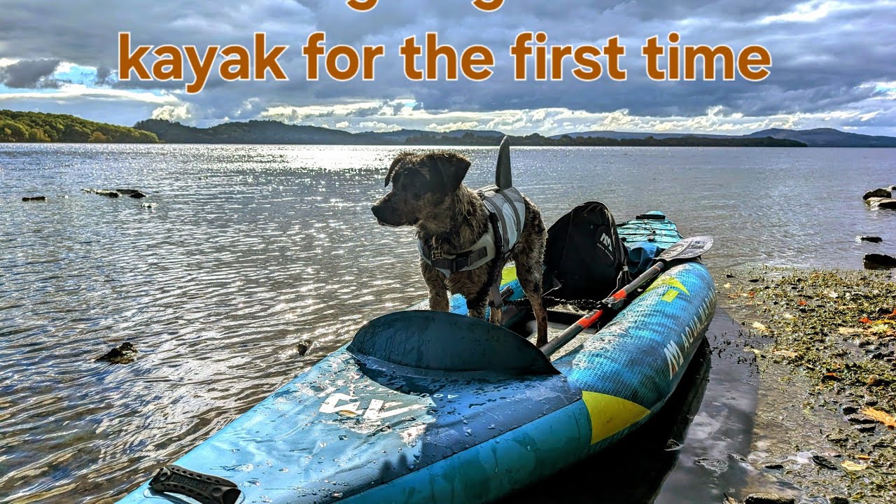 What its really like to take a dog on kayak for first time 