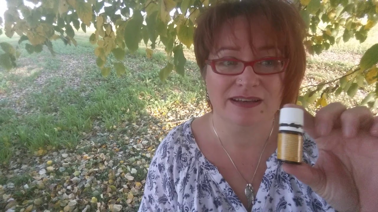 Young Living Zitronen&ouml;l - Tipps zur vielseitigen Anwendung