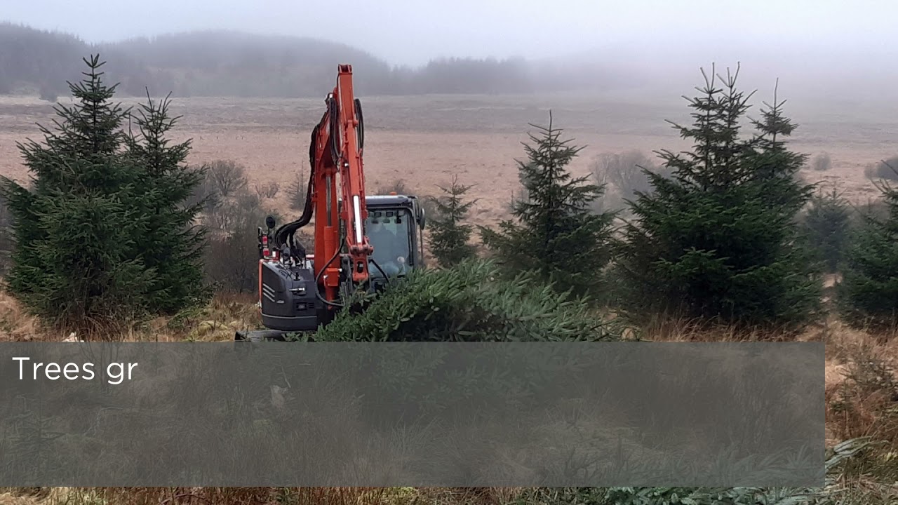 Restoring Afforested Peatlands in Wales – National Peatland Action Programme