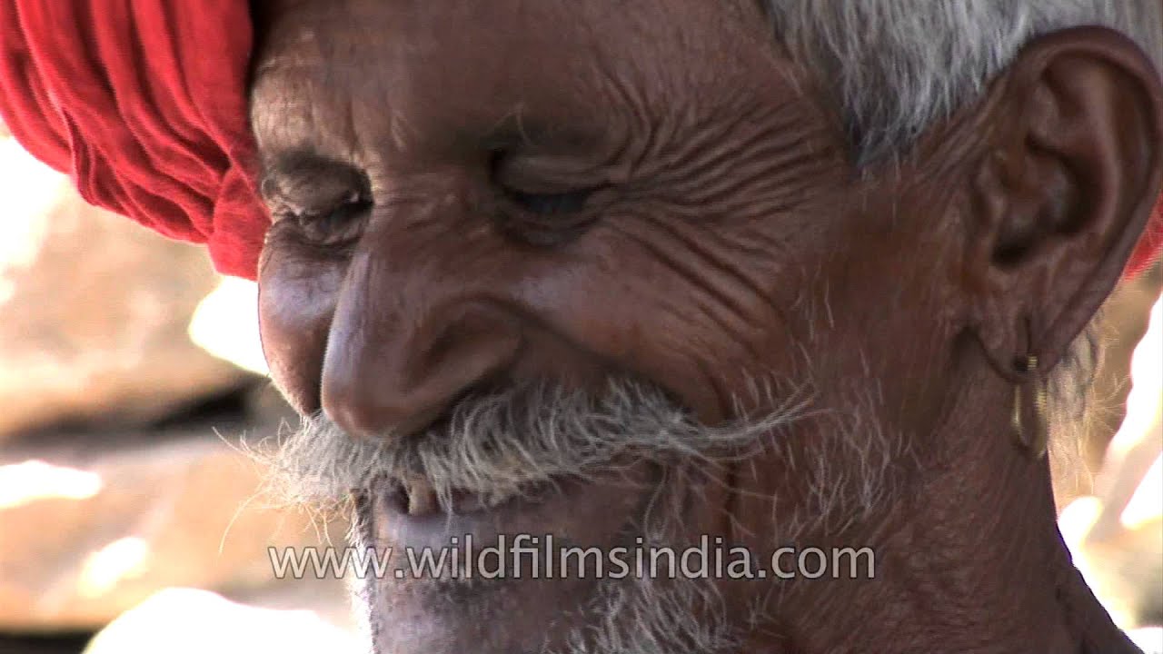 Incredible India stock footage - the best of India