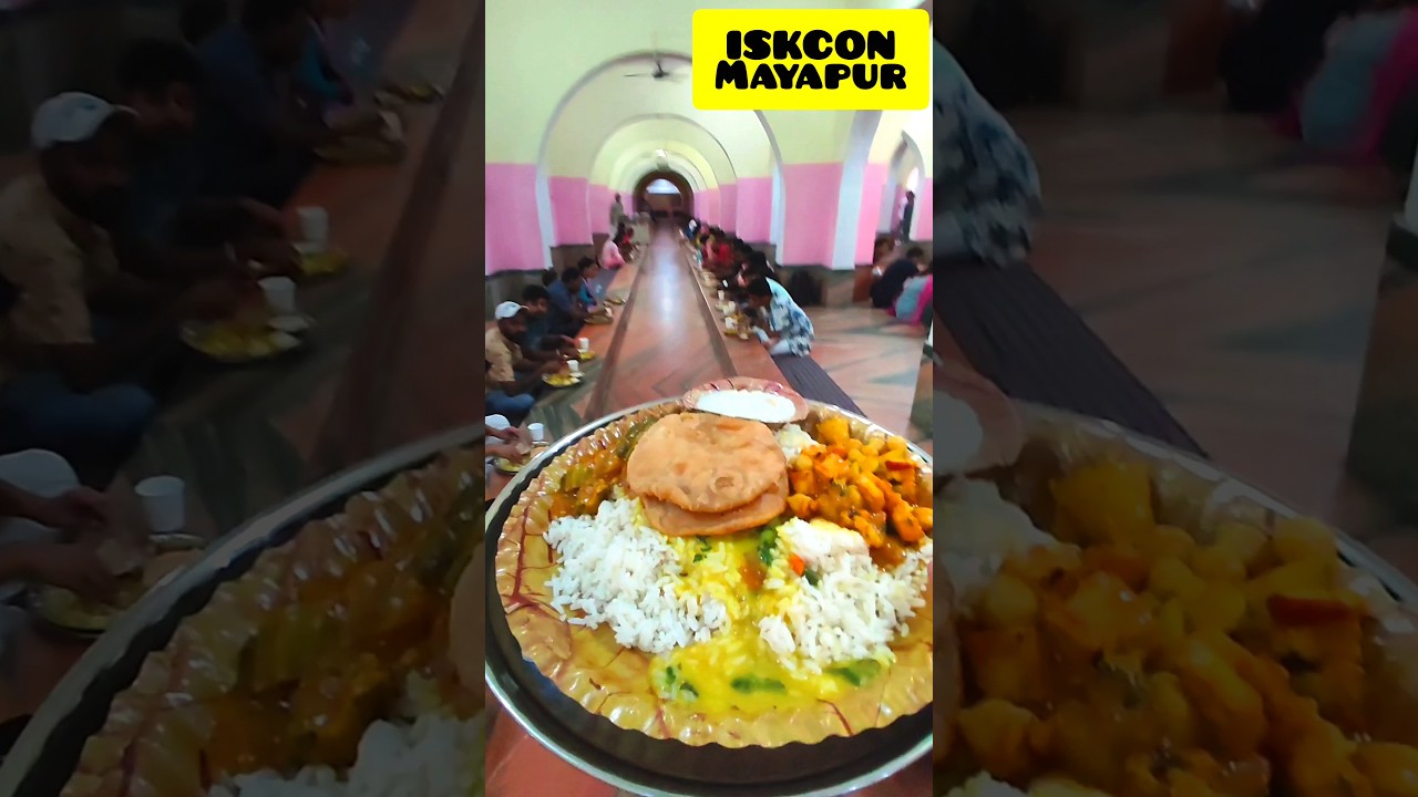 ISKCON MayapurLunch Mahaprasad🔥#travel #mayapur #iskcon #food #youtubeshorts #viral #whatsappstatus