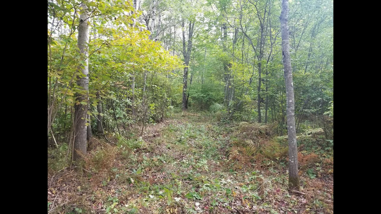 THE FARMHOUSE. Finishing the 4wheeler trail. Firewood. Garage door. Garden. Canning. Cooking.