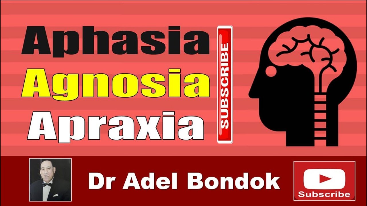 Aphasia, Agnosia and Apraxia, Dr Adel Bondok Making Anatomy Easy