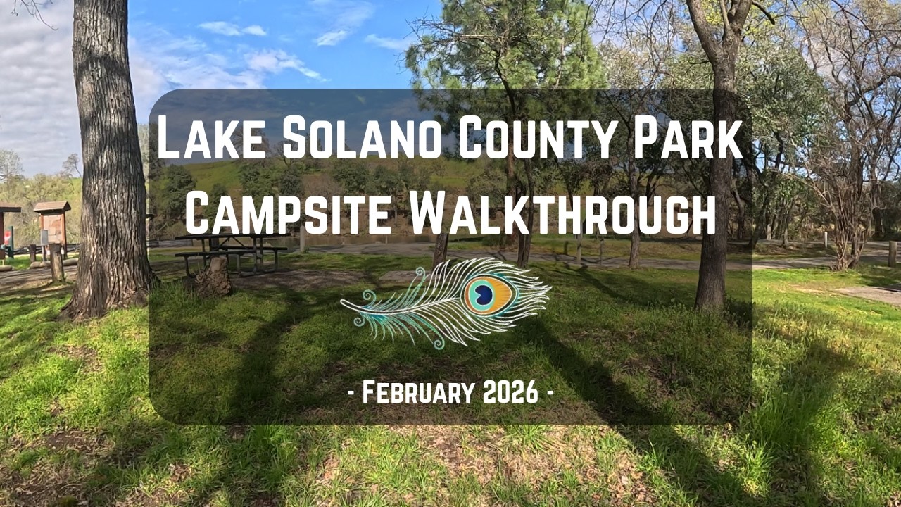 Lake Solano County Park | Winters CA | Campsite Walkthrough