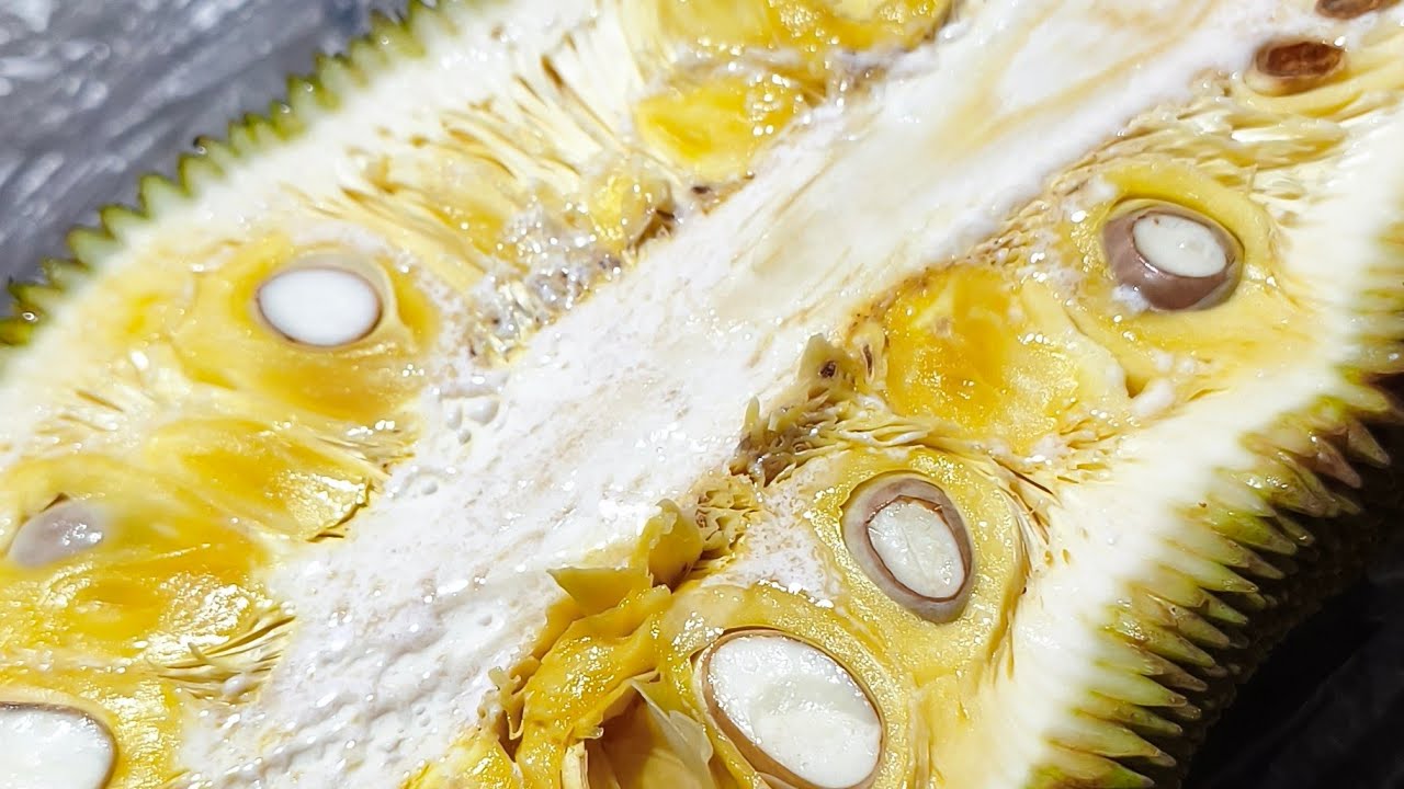 The Jackfruit