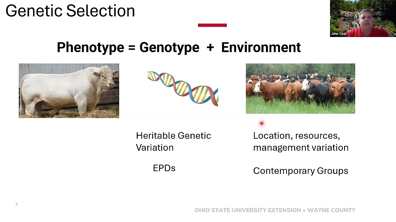 Heifer Development & Implementing Genomic Testing on Your Farm; 2025 Virtual Beef School, session 4