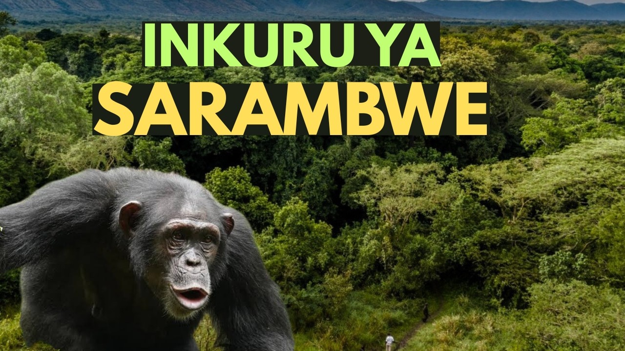 Ishyamba rya SARAMBWE byinshi utamenye ku binyabuzima byaho. 