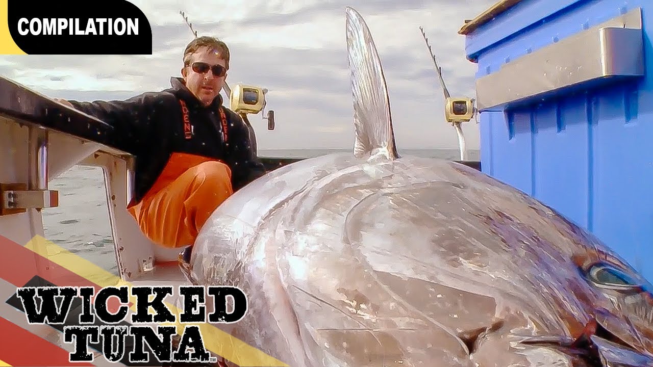 Most VALUABLE Tuna of Season Two-na | Wicked Tuna
