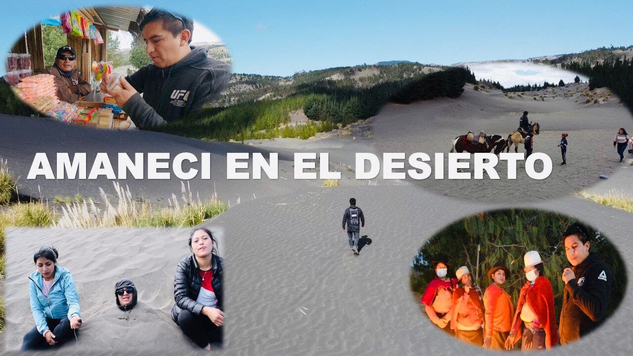 EN EL FLAMANTE DESIERTO DE PALMIRA I GEO LEMA