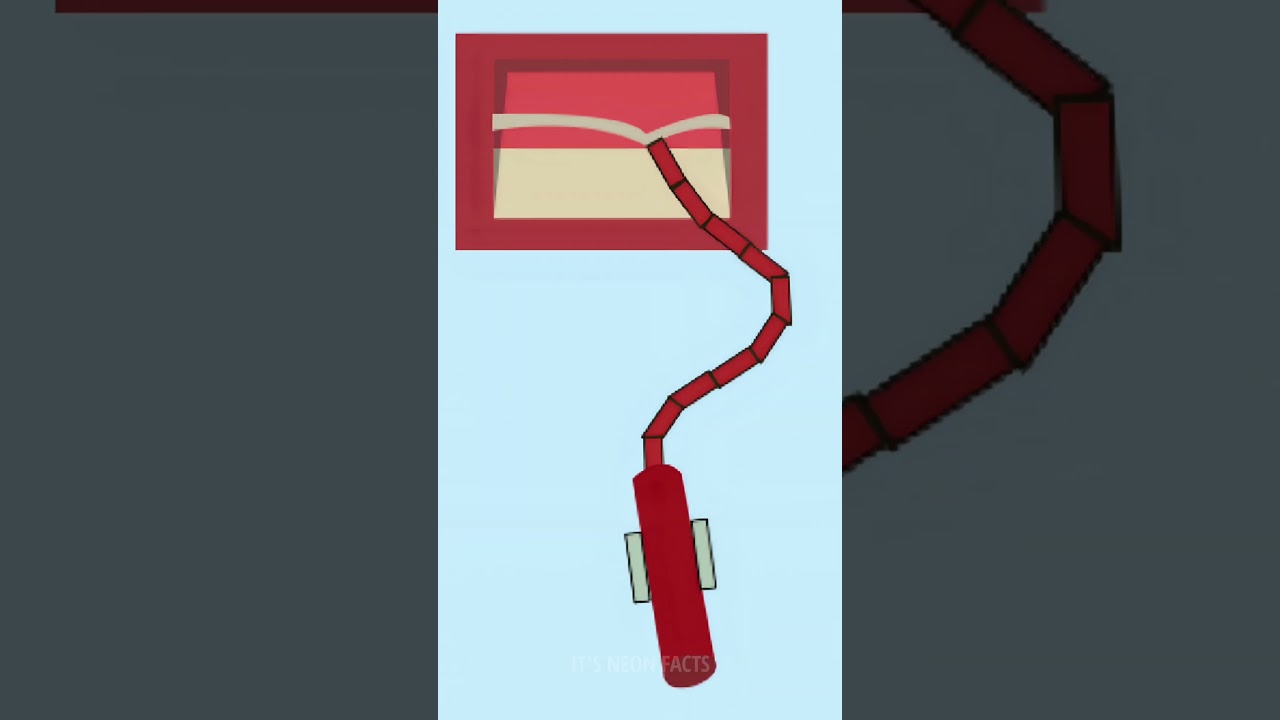How does chain pulling work in a train? By IT'S NEON FACTS