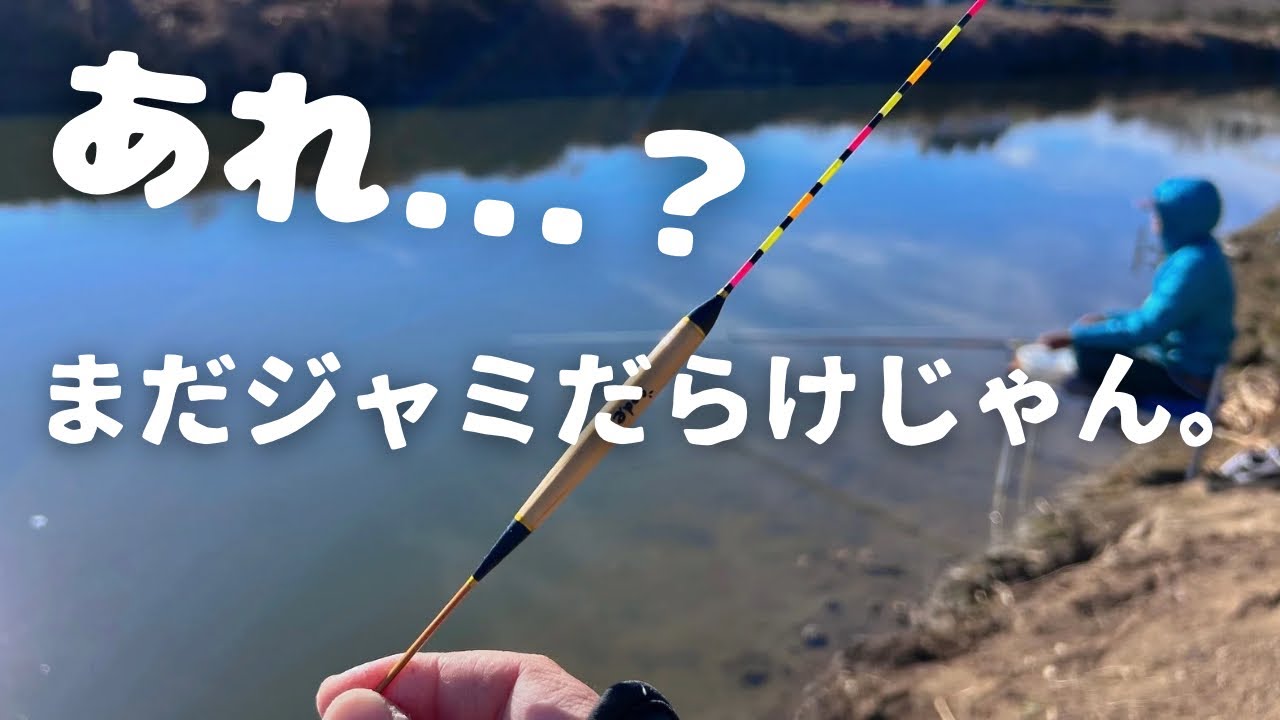 市野川2025年ラスト釣行‼️【ヘラブナ釣り】
